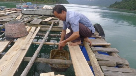 Nghề nuôi trồng thủy sản ở Vân Đồn, Quảng Ninh - ảnh 1